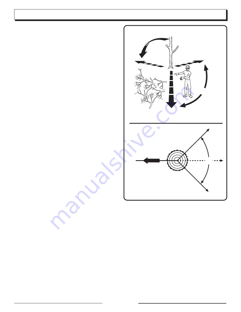 Homelite CSP3816 Operator'S Manual Download Page 21