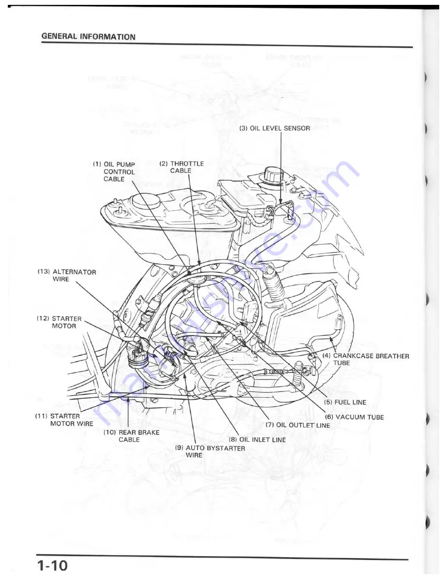 Honda Elite 50 1987 Скачать руководство пользователя страница 13