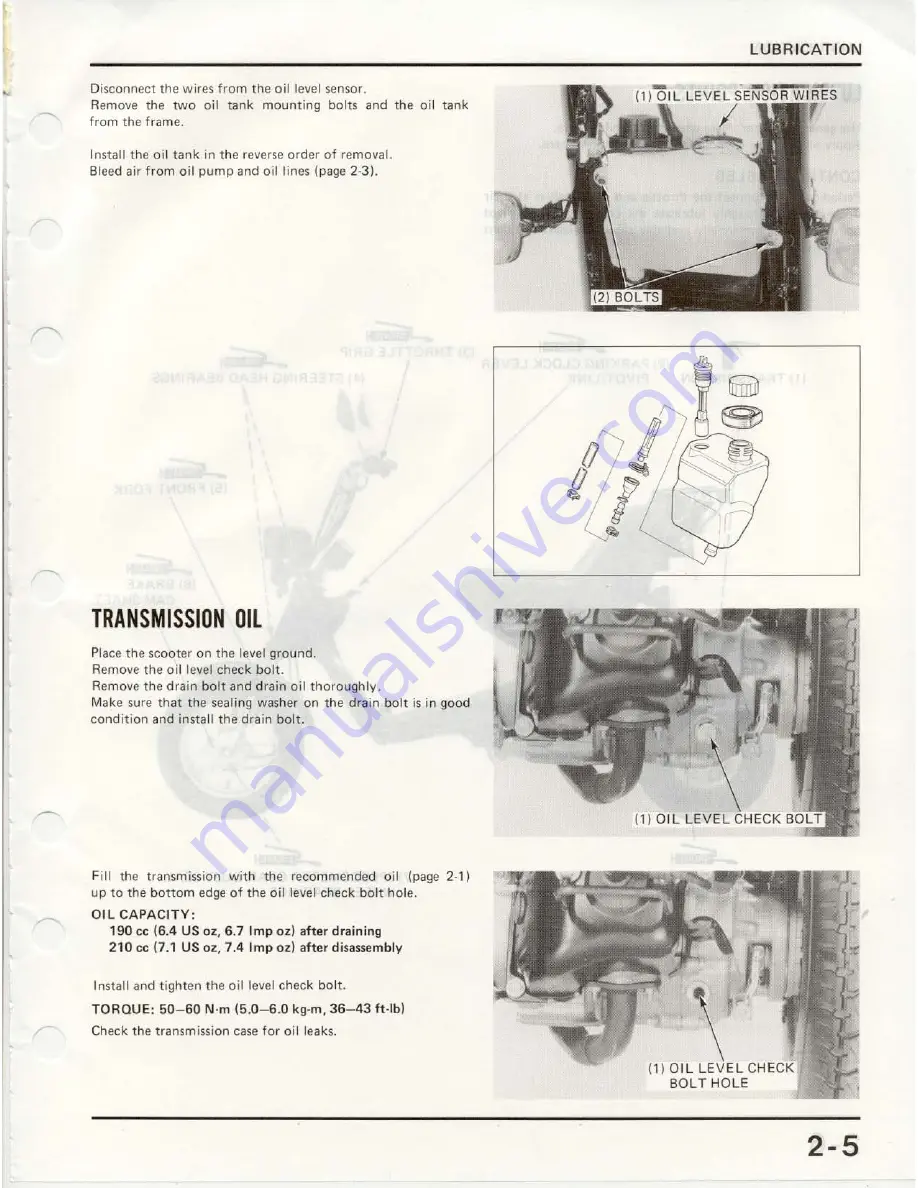 Honda TG50M Gyro S Shop Manual Download Page 21