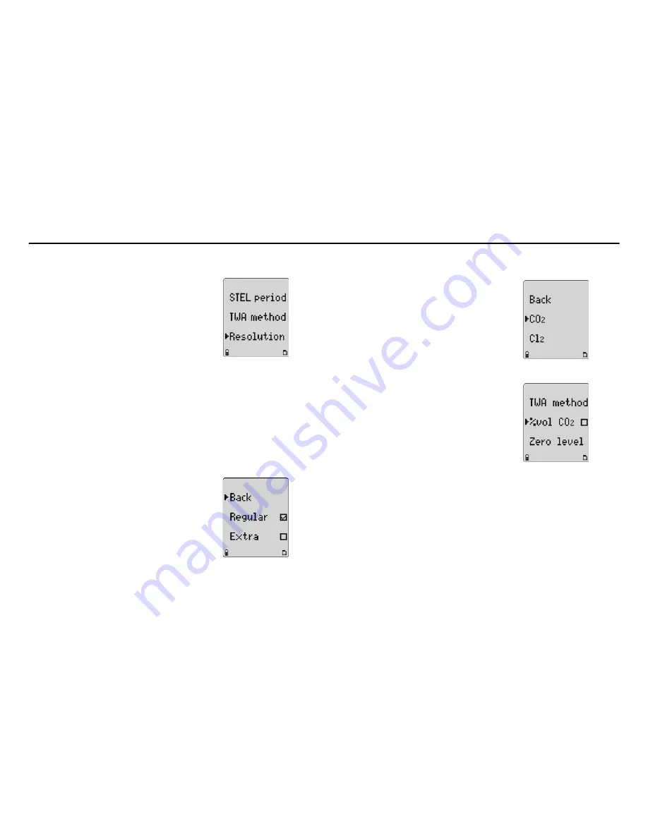 Honeywell BW GasAlertMicro 5 User Manual Download Page 39