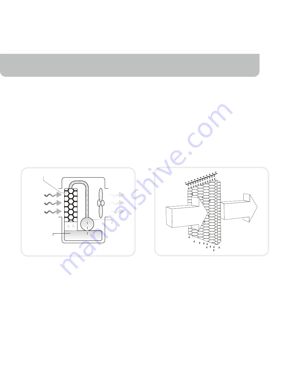 Honeywell CO60PM Series Owner'S Manual Download Page 5