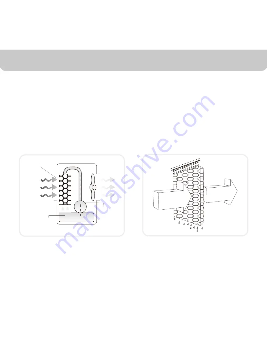 Honeywell CS10XE Series Скачать руководство пользователя страница 47