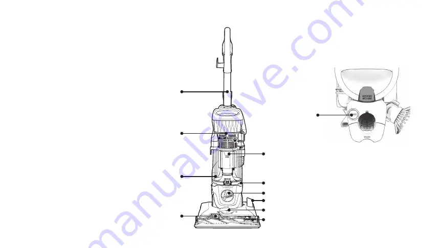 Hoover Pet Max Complete Скачать руководство пользователя страница 8