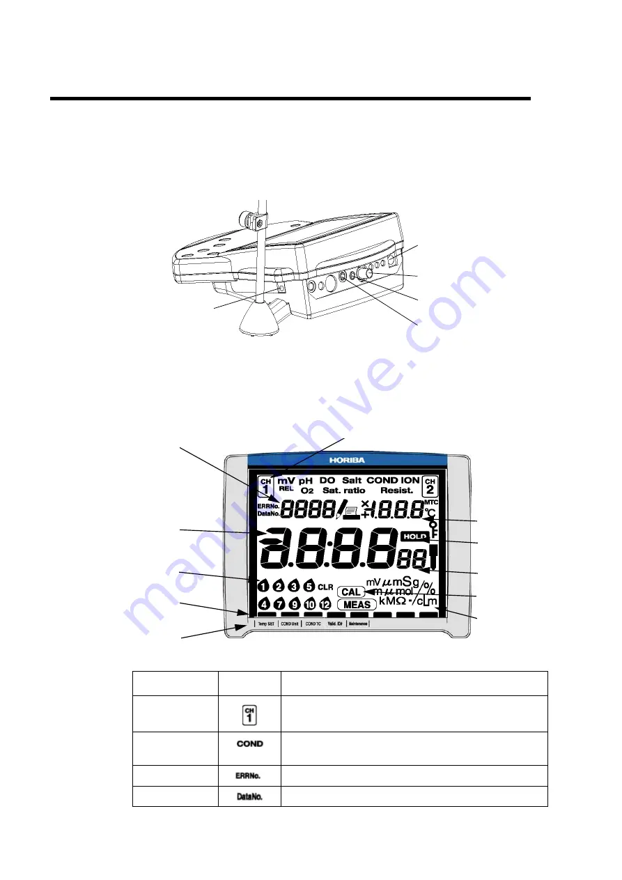 horiba DS-51 Скачать руководство пользователя страница 13