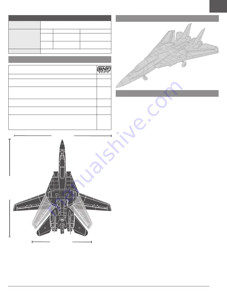 Horizon Hobby E-FLITE F-14 Tomcat Twin 40mm EDF Скачать руководство пользователя страница 3