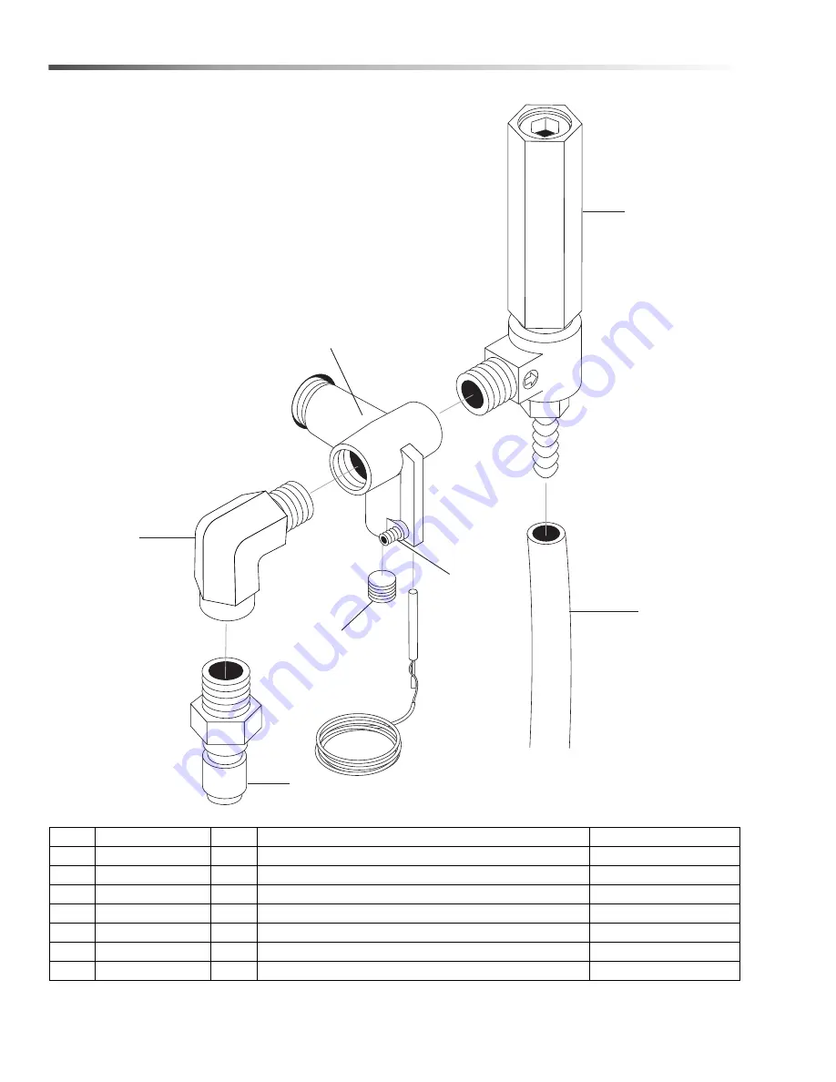 Hotsy 1.109-660.0 Service Manual Download Page 22