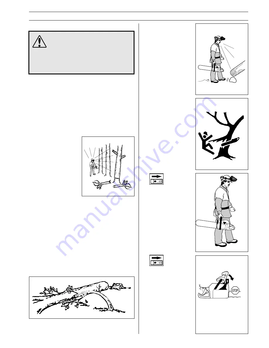 Husqvarna 254XP, 257, 262XP Operator'S Manual Download Page 19