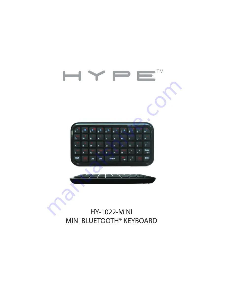 HYPE HY-1022-MINI Скачать руководство пользователя страница 1