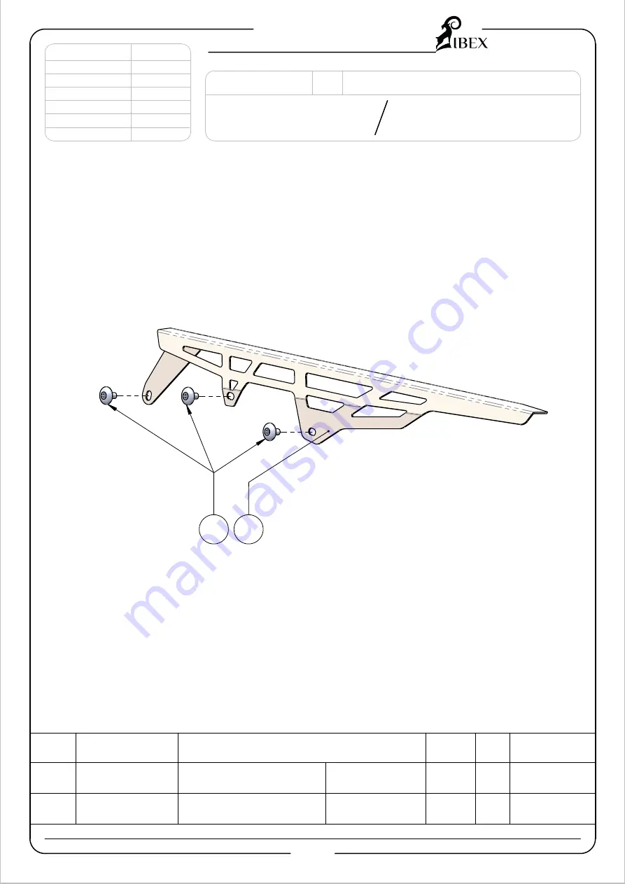 IBEX 10008158 Mounting Instruction Download Page 2