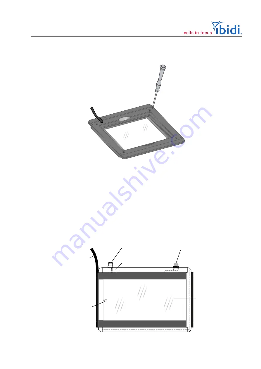 ibidi 12150 Instruction Manual Download Page 21