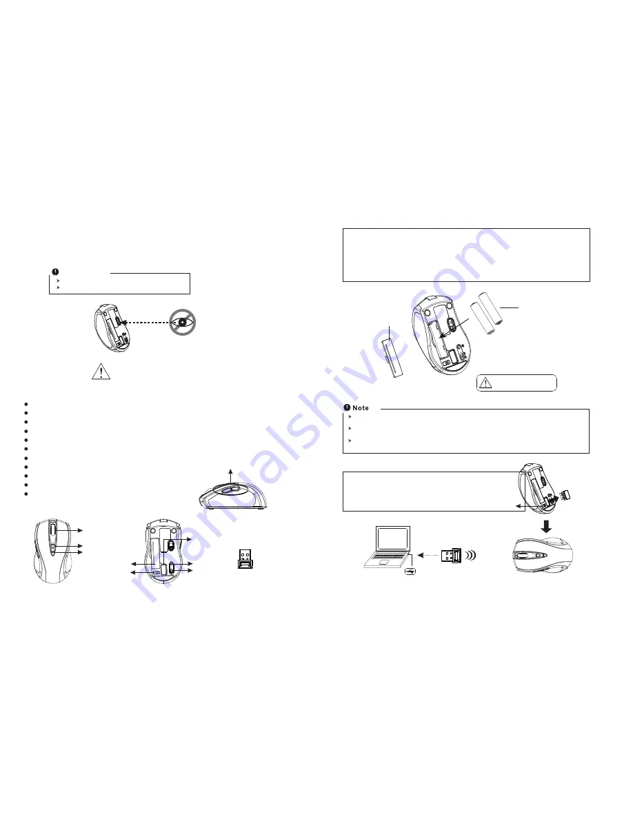 iBox Beetle User Manual Download Page 2