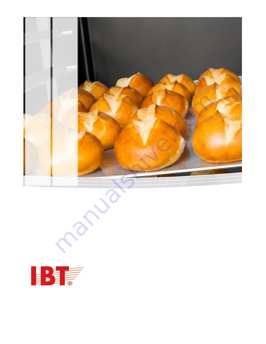 IBT STIR Manual Download Page 1