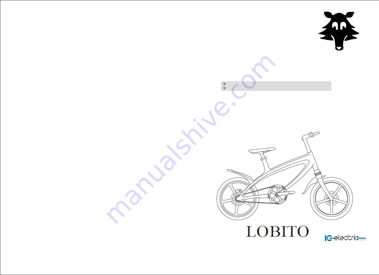 IC ELECTRIC LOBITO ALFA Series Скачать руководство пользователя страница 11