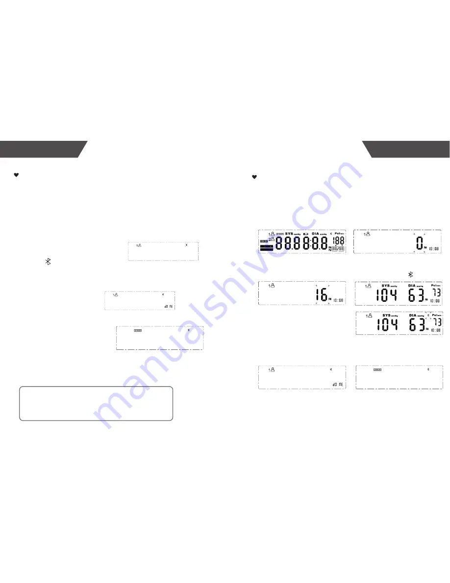 IC Sciences TMB-1018-BT Скачать руководство пользователя страница 7