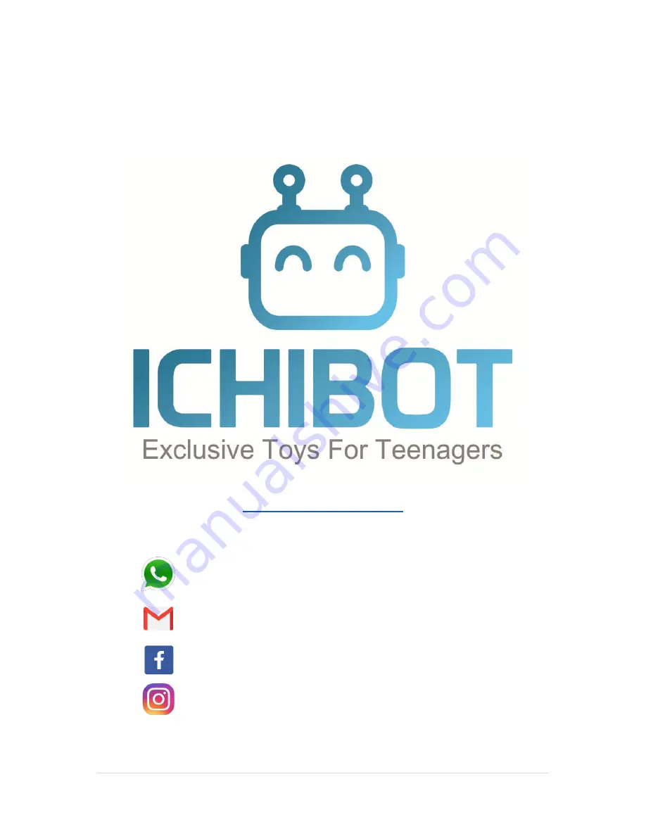 ICHIBOT LF ULTIMATE 4S Скачать руководство пользователя страница 19