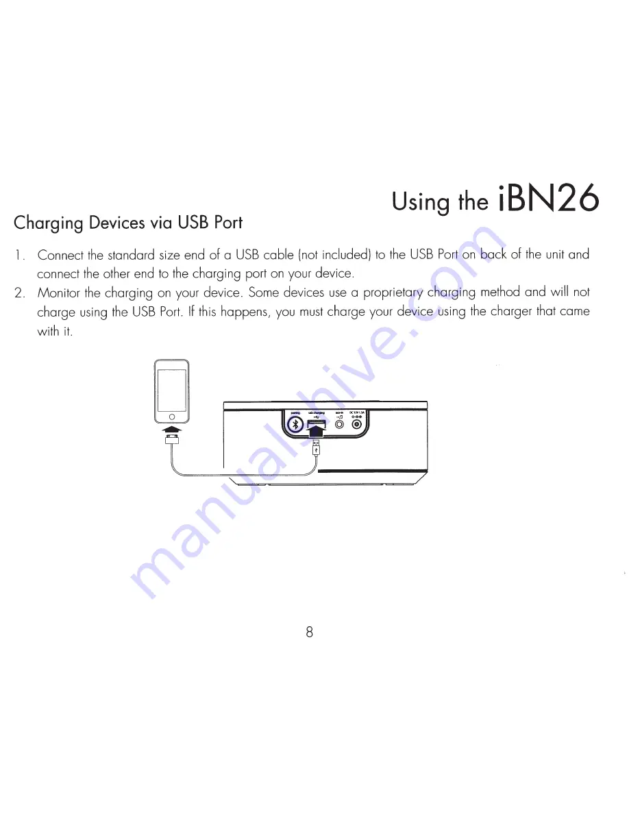 iHome iBN26 Скачать руководство пользователя страница 12