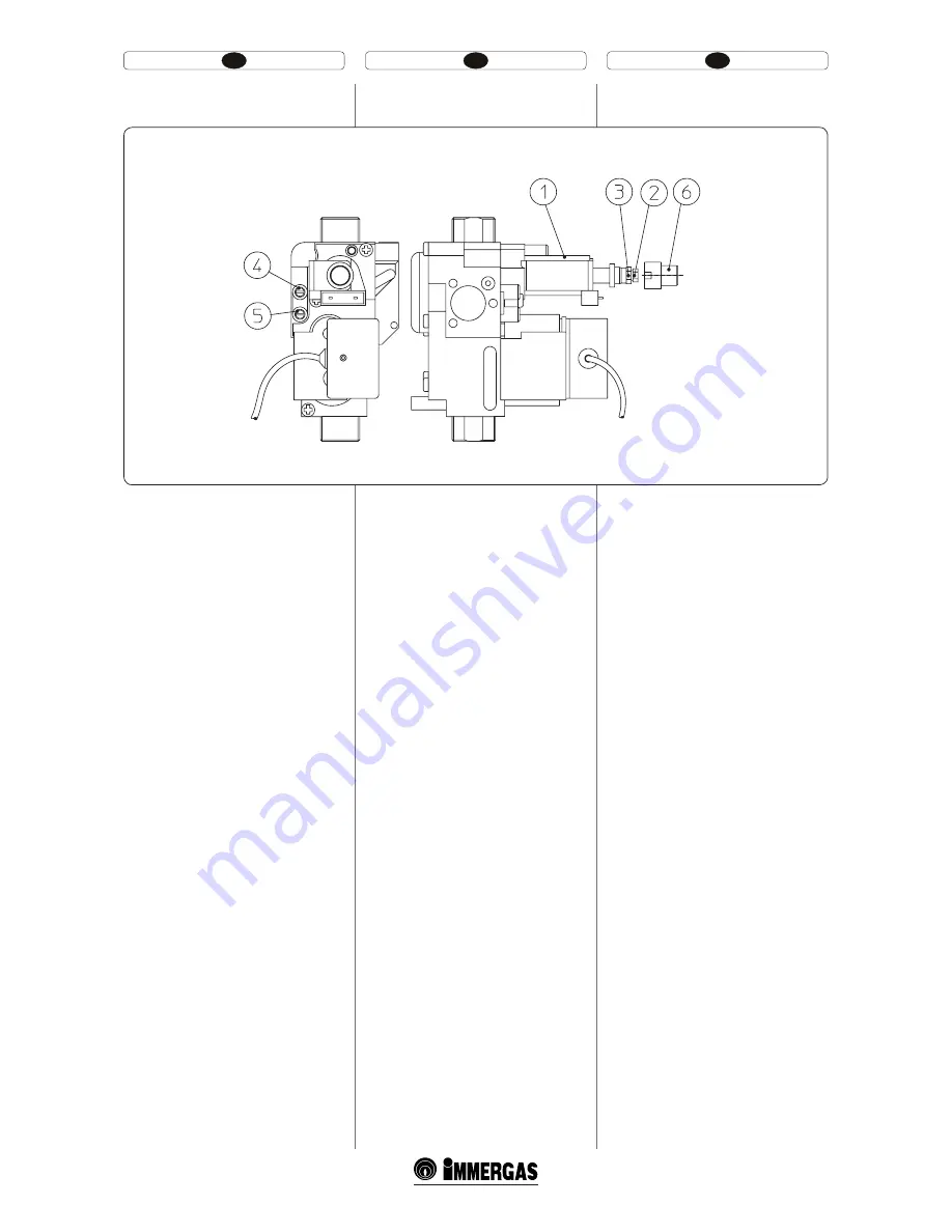 Immergas EOLO STAR 24 3 E User Manual Download Page 28