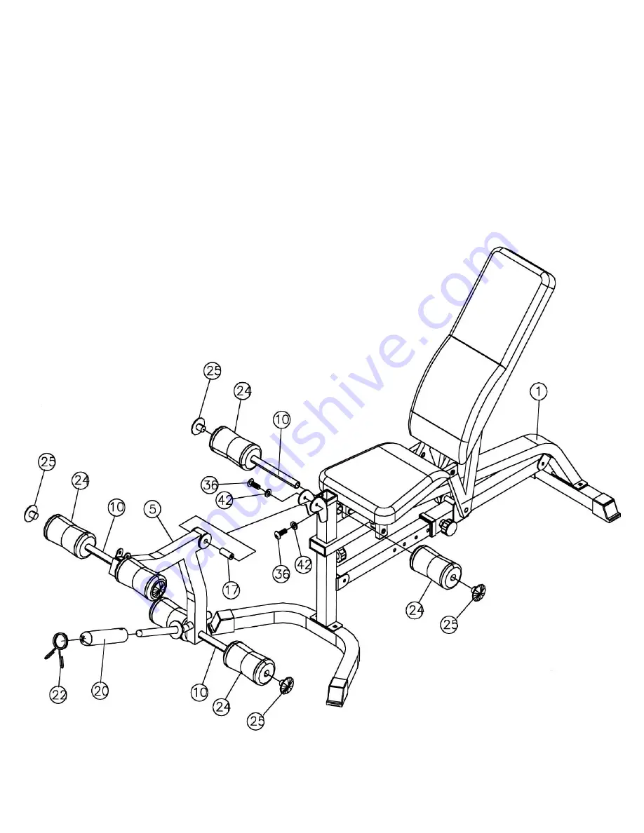 Impex Iron Grip Strength IGS-4350 Скачать руководство пользователя страница 25