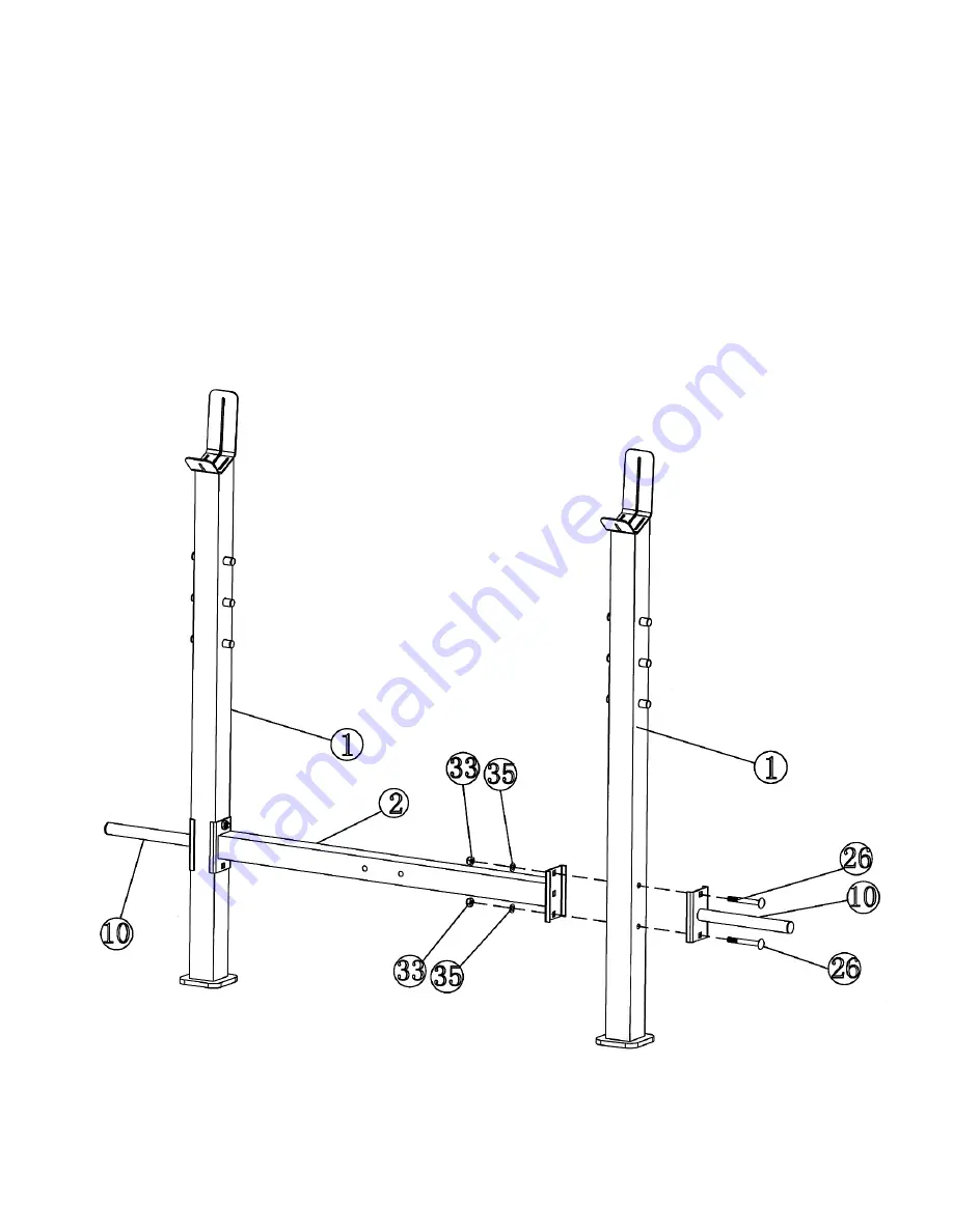 Impex Iron Grip Strength IGS-705 Owner'S Manual Download Page 6