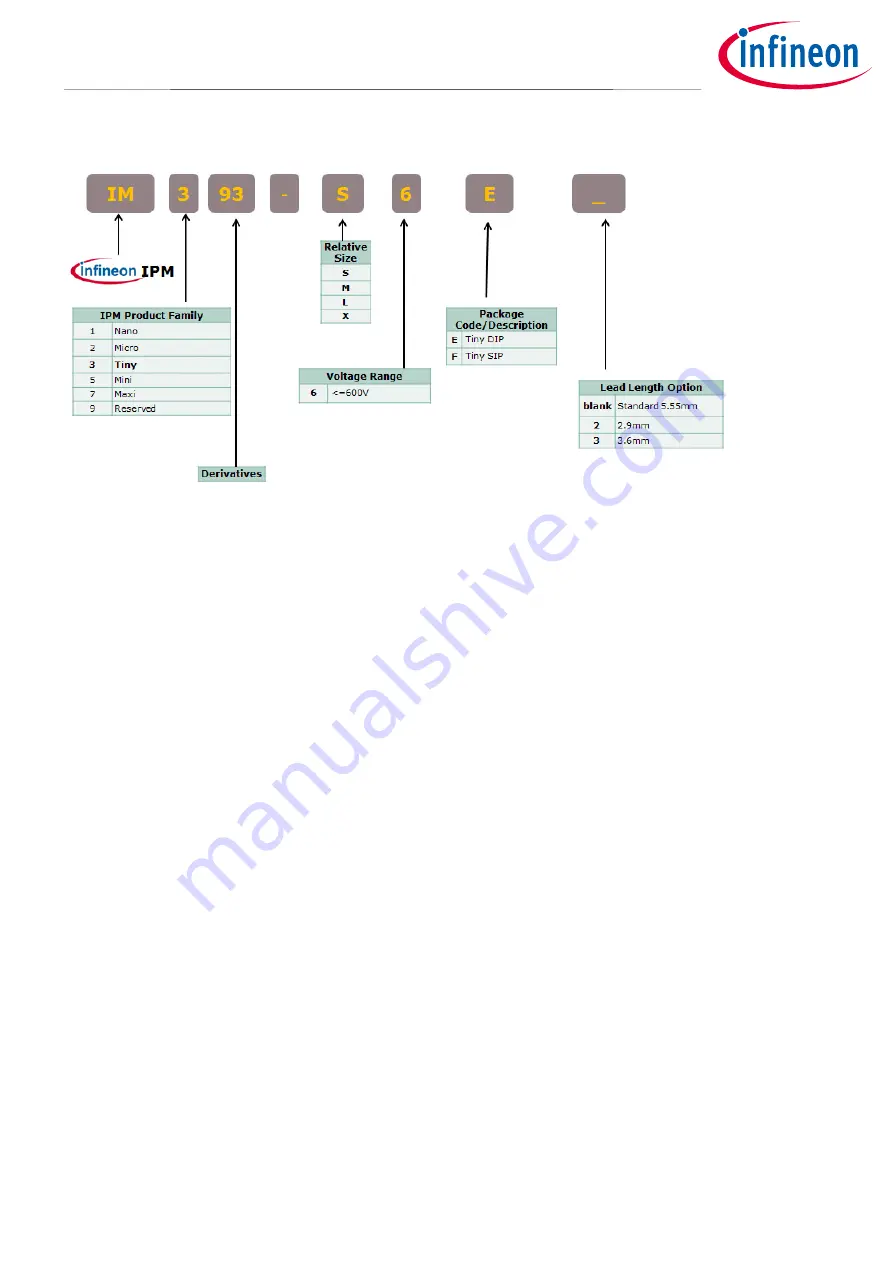 Infineon IM393 Series Скачать руководство пользователя страница 5