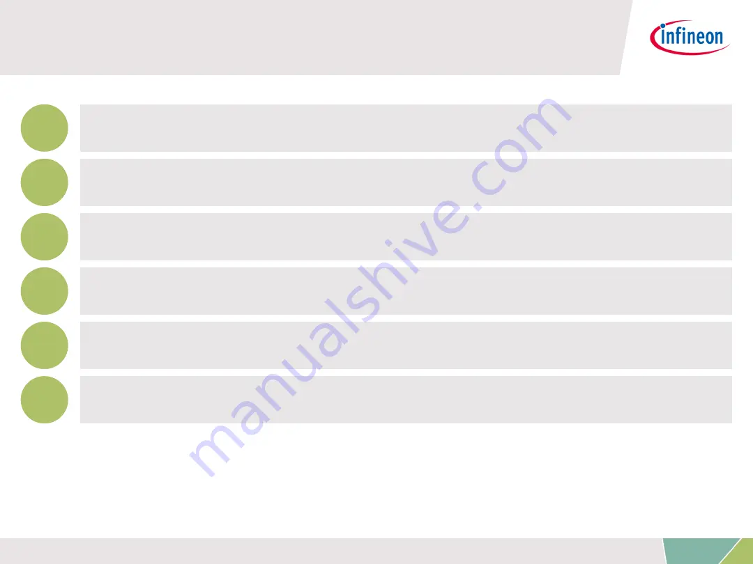 Infineon TLE4966 MS2GO Скачать руководство пользователя страница 2