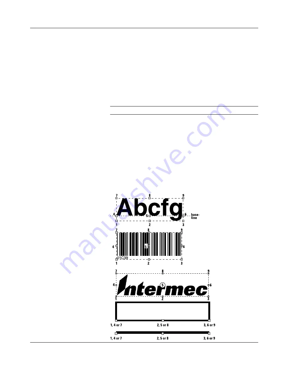 Intermec EasyCoder E4 Скачать руководство пользователя страница 21