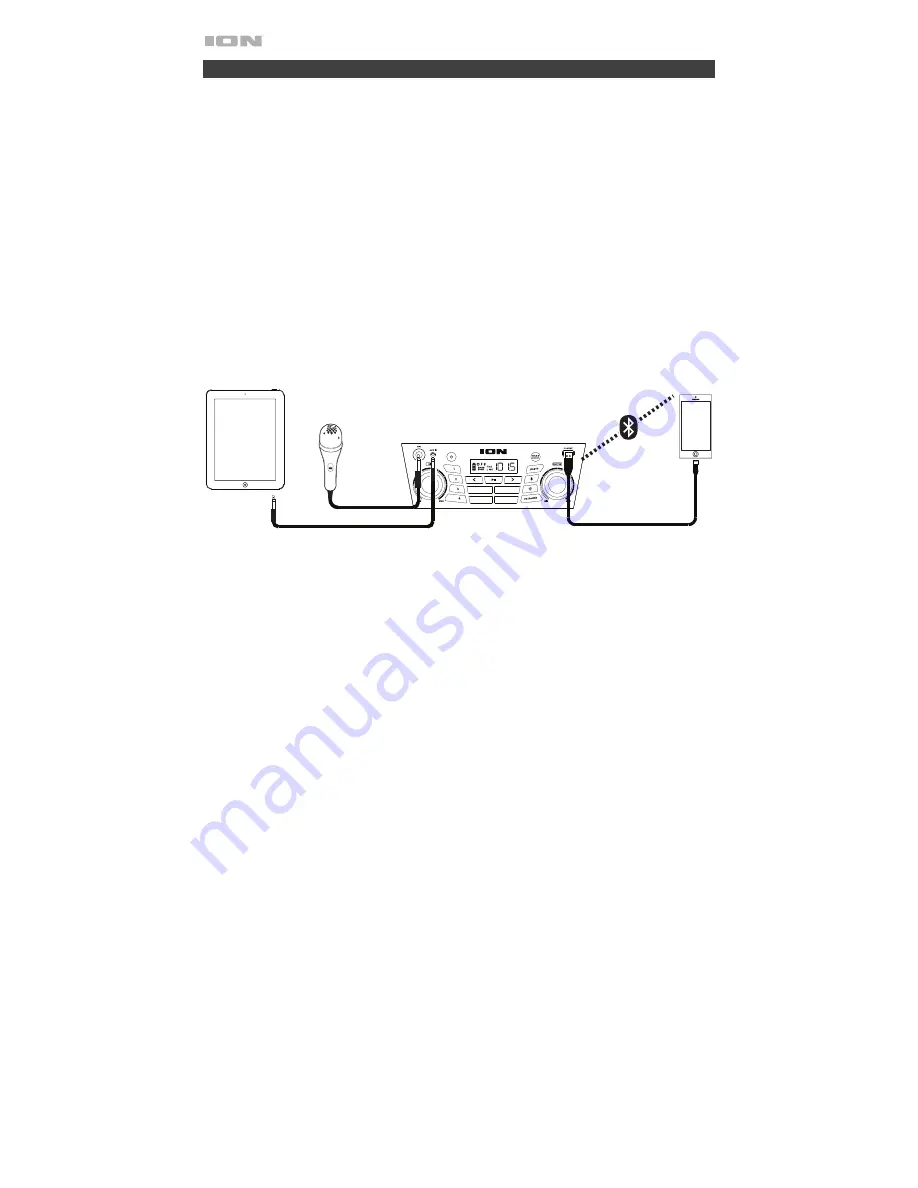 ION Party Boom FX User Manual Download Page 10