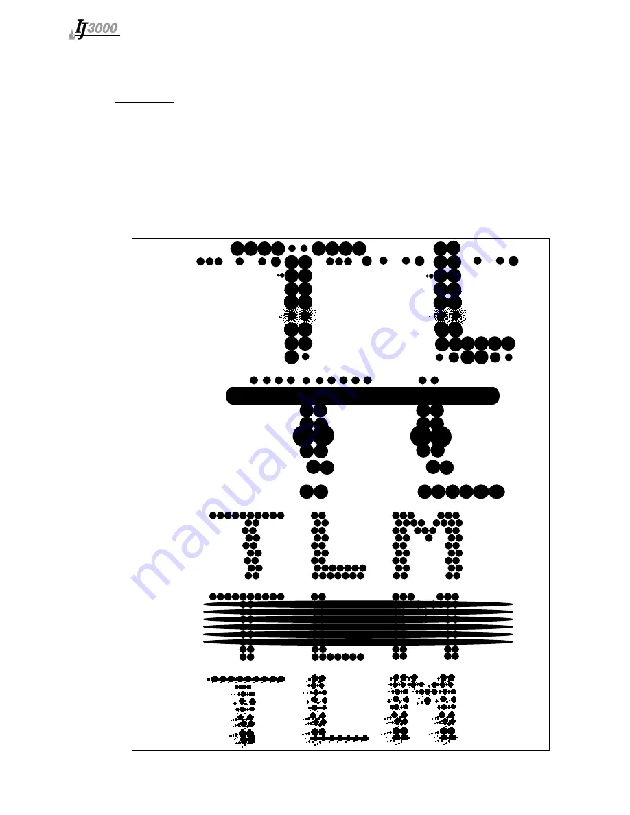 ITW Diagraph IJ3000 Operation Manual Download Page 51