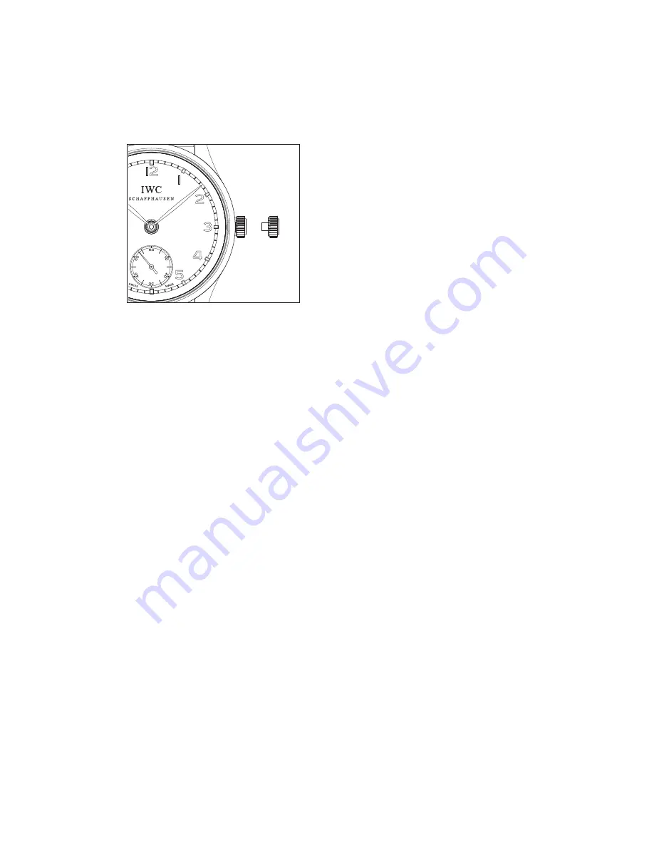 iwc IW5449 Скачать руководство пользователя страница 8