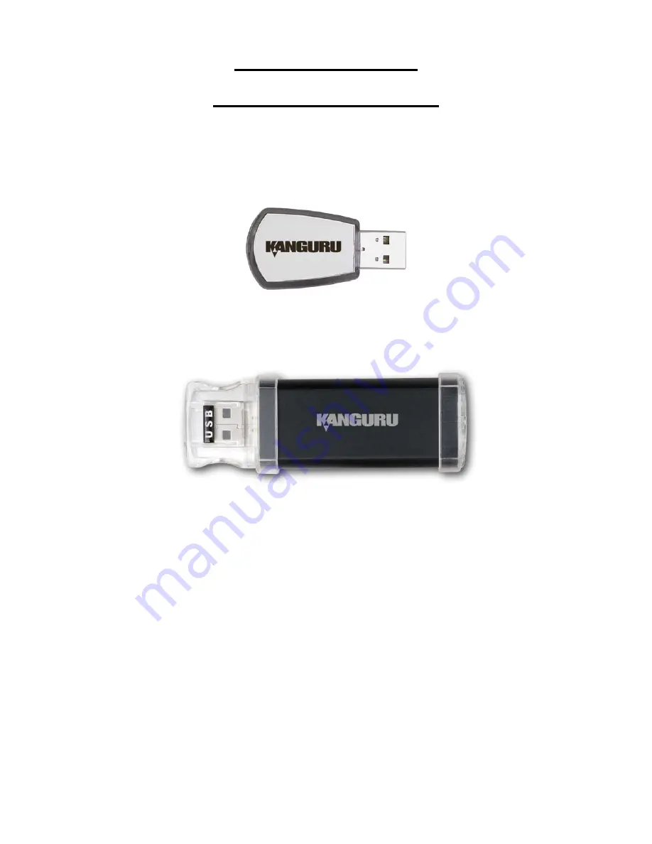 Kanguru Flash Drive Max Скачать руководство пользователя страница 1