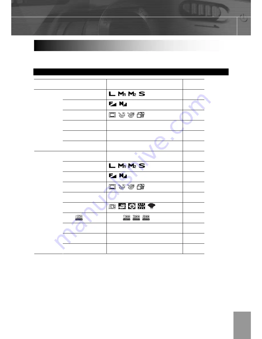 Kobian CyperPix E550V User Manual Download Page 21