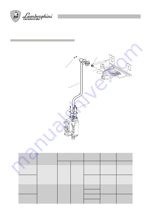 Lamborghini Caloreclima futuria L 24 MB Installation And Maintenance Manual Download Page 74