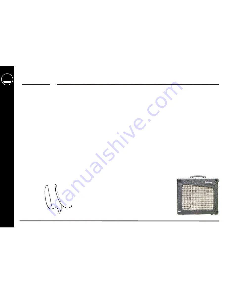 Laney CUB10 Operating Instructions Manual Download Page 8