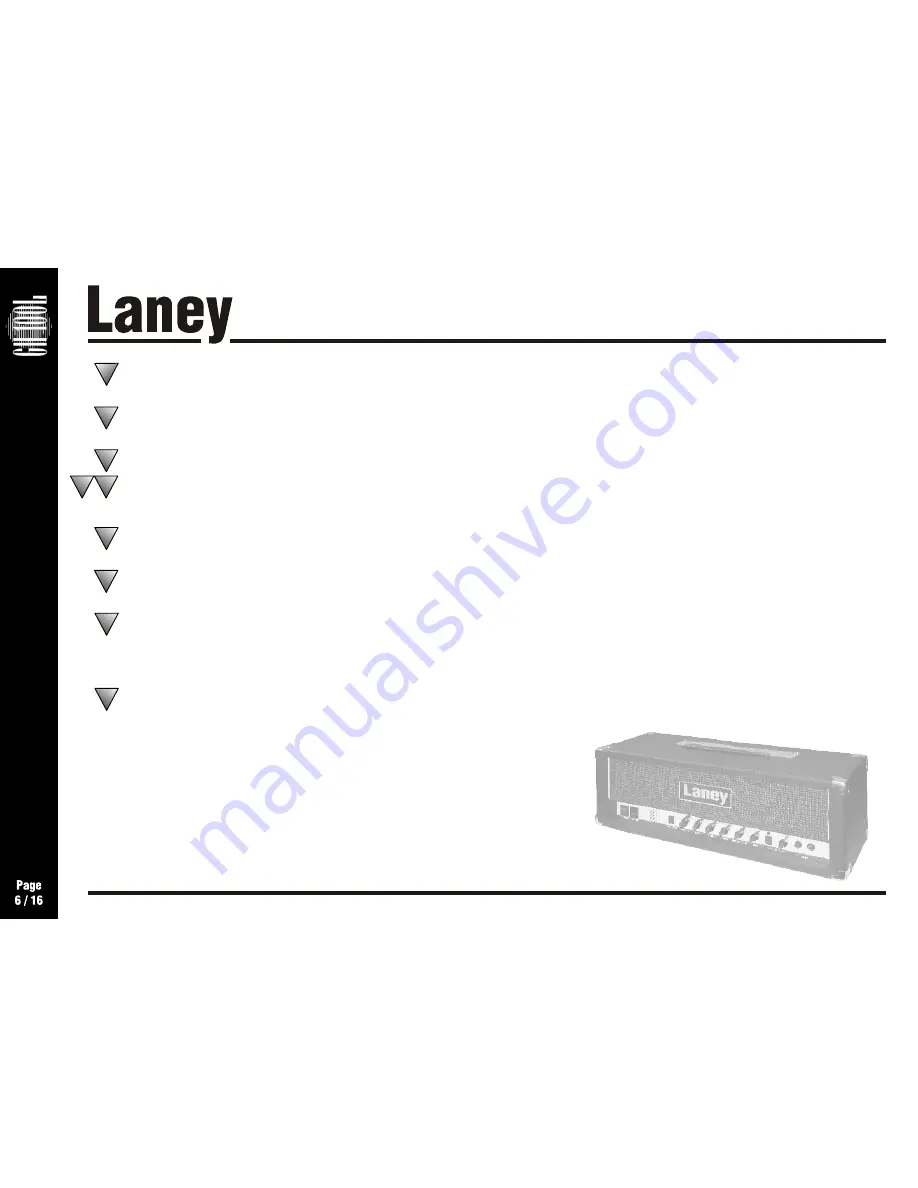 Laney GH100L Скачать руководство пользователя страница 6