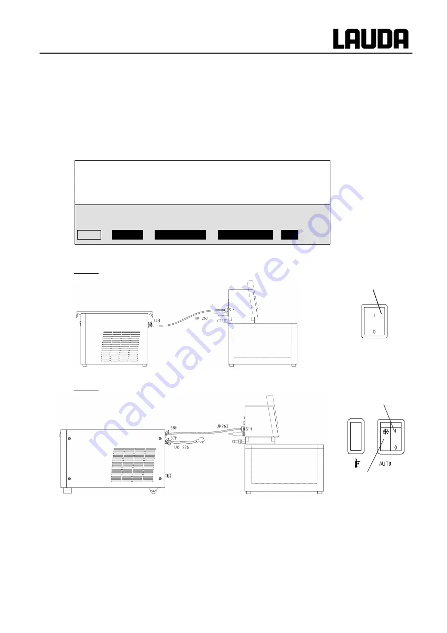 Lauda DLK 10 Operating Instructions Manual Download Page 19