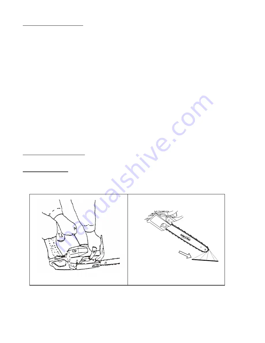 LAWN STAR LSPS 5850 Operating Instructions Manual Download Page 11