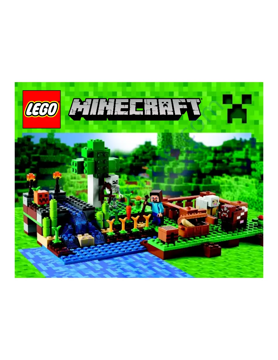 LEGO 21114 MINECRAFT Assembly Manual Download Page 1