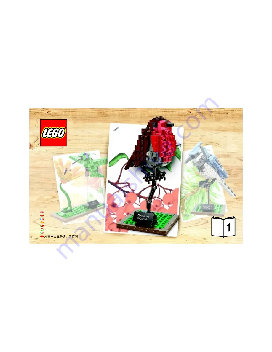 LEGO 21301 Booklet Download Page 1