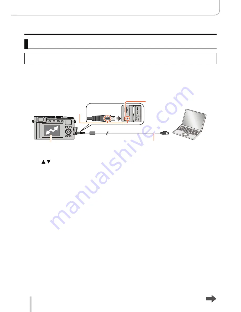 Leica D-LUX Instructions Manual Download Page 254