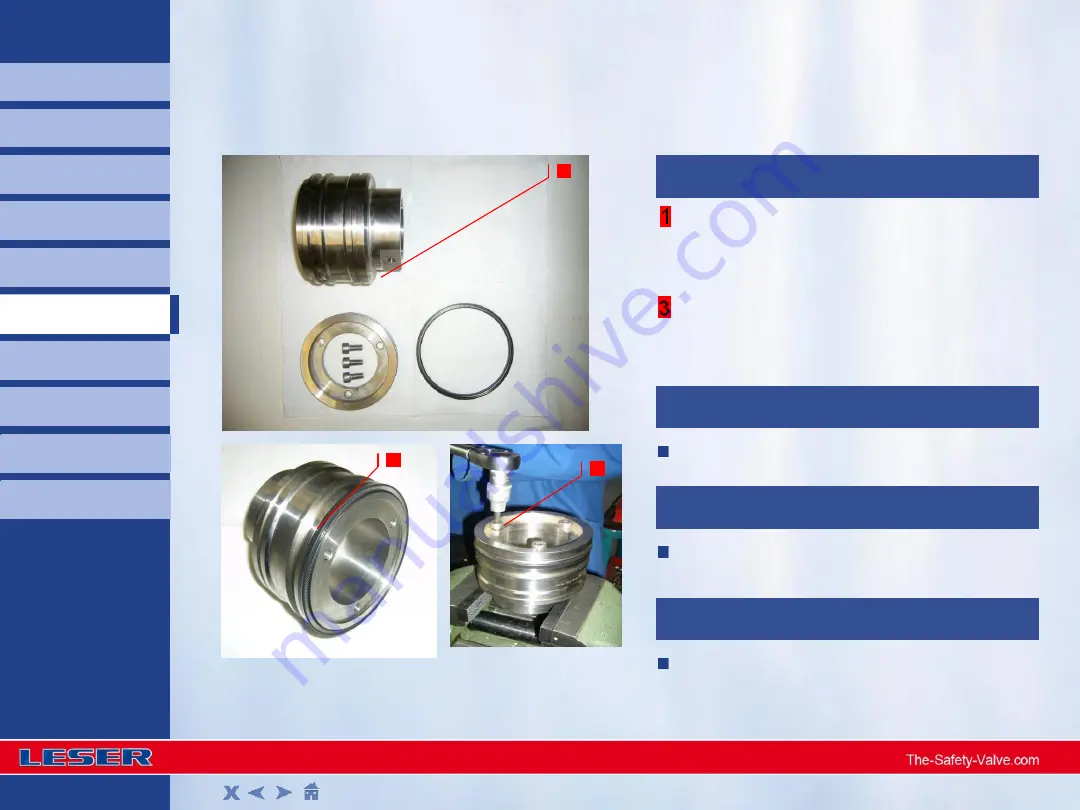 Leser 810 Series Assembly Download Page 11