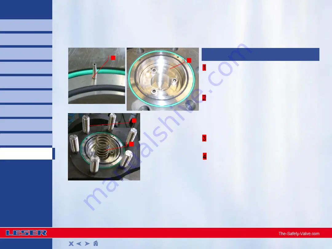 Leser 810 Series Assembly Download Page 17