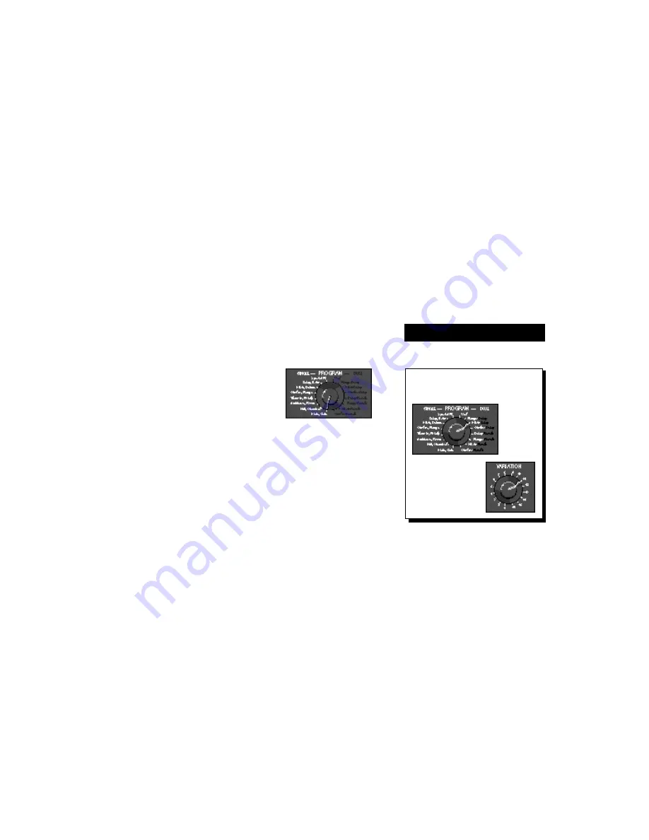 Lexicon MPX 100 User Manual Download Page 10