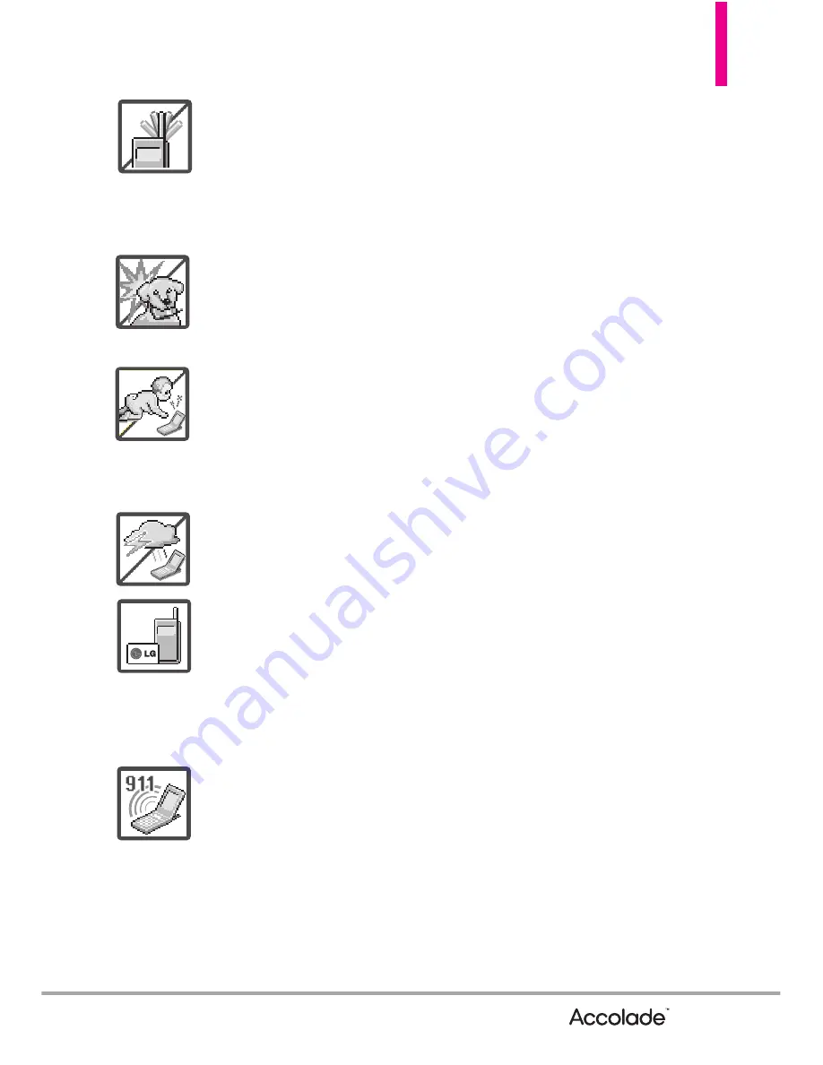 LG ACCOLADE User Manual Download Page 5