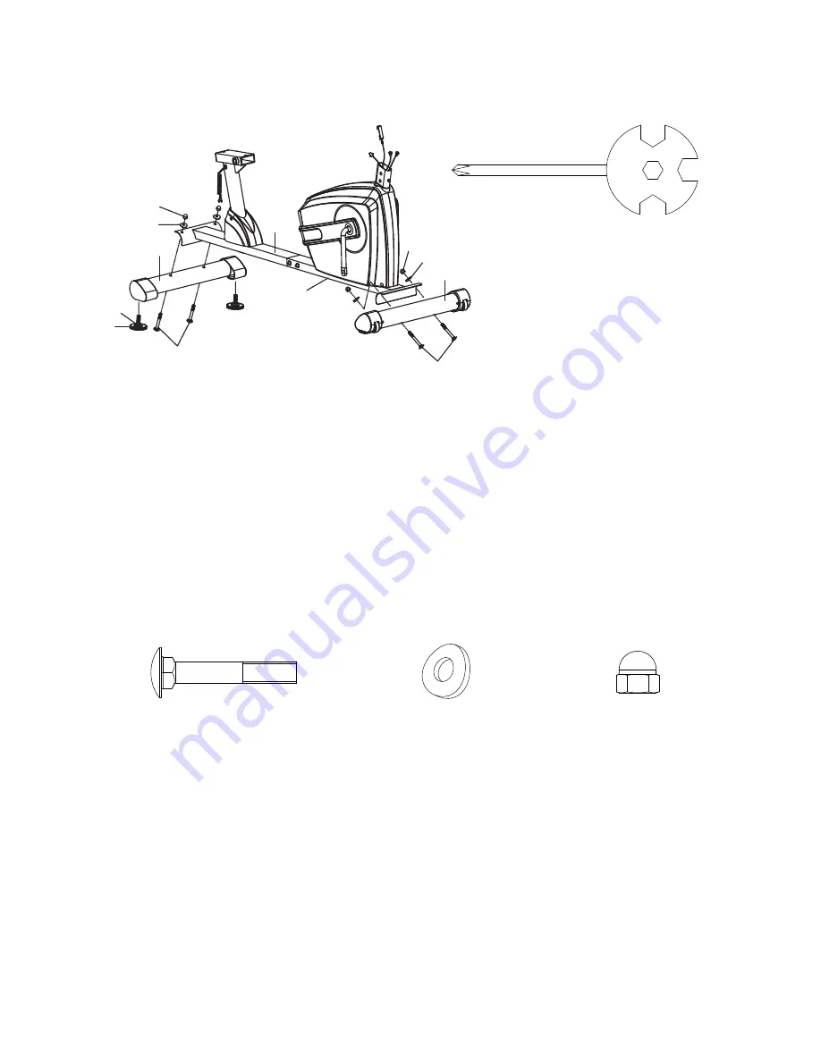 Life Gear 26280 Скачать руководство пользователя страница 8