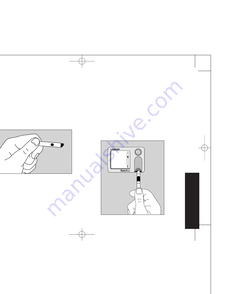 Lifescan SureStep Скачать руководство пользователя страница 23