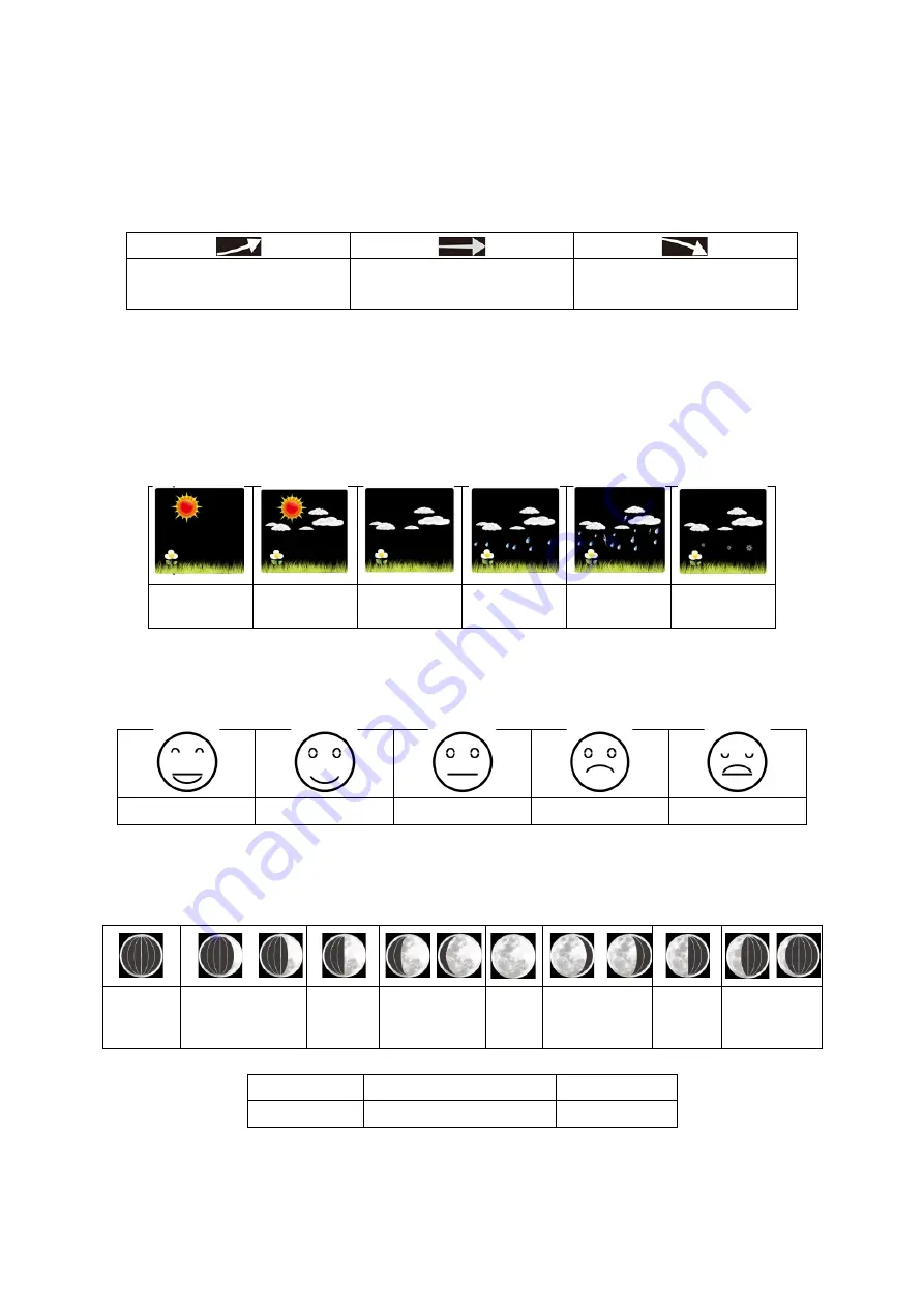 Livoo SL250 User Manual Download Page 12