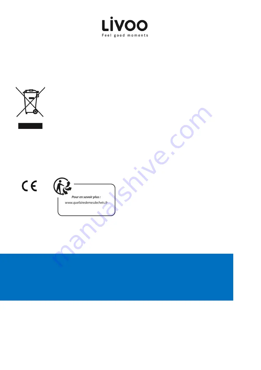 Livoo SL253 User Manual Download Page 10