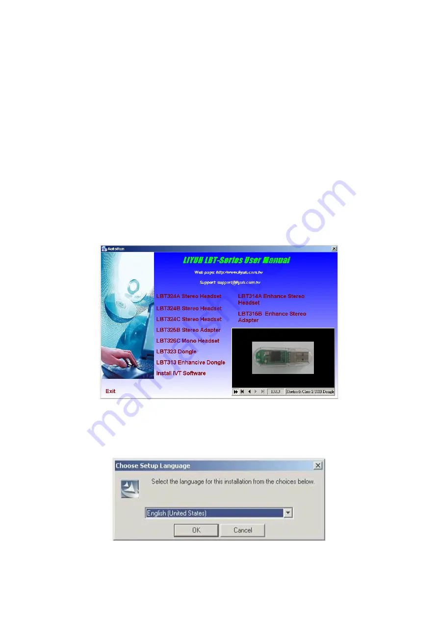 Liyuh LBT-313 User Manual Download Page 12