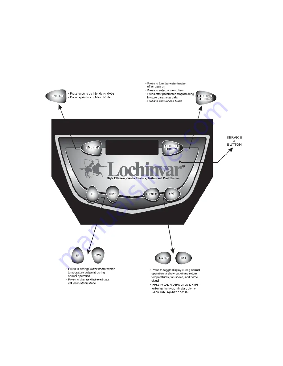 Lochinvar EcoShield SHW115-435CE Скачать руководство пользователя страница 6