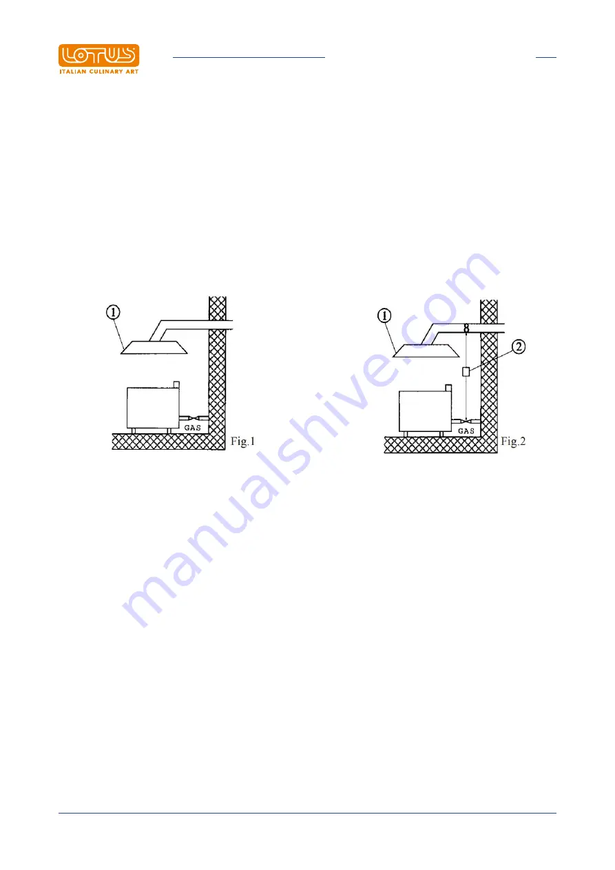 Lotus 08290850 Скачать руководство пользователя страница 20